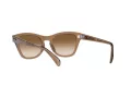 Ray-Ban Lunettes de Soleil RB 0707S 6640/51