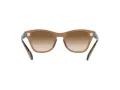Ray-Ban Lunettes de Soleil RB 0707S 6640/51