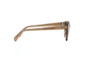 Ray-Ban Lunettes de Soleil RB 0707S 6640/51