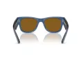 Ray-Ban Mega Wayfarer Lunettes de Soleil RB 0RB0840S 668073