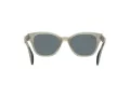 Ray-Ban Lunettes de Soleil RB 0880S 6635/3R