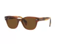 Ray-Ban Lunettes de Soleil RB 0880S 6640/57