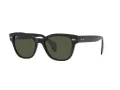 Ray-Ban Lunettes de Soleil RB 0880S 901/31