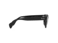 Ray-Ban Lunettes de Soleil RB 0880S 901/31