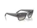Ray-Ban Carlos Lunettes de Soleil RB 0947S 667571