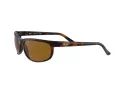 Ray-Ban Predator 2 Lunettes de Soleil RB 2027 6508/33