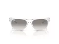Ray-Ban New Wayfarer Lunettes de Soleil RB 2132 677432