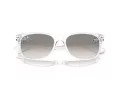 Ray-Ban New Wayfarer Lunettes de Soleil RB 2132 677432
