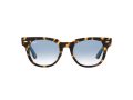Ray-Ban Meteor Lunettes de Soleil RB 2168 1332/3F