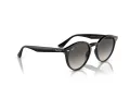 Ray-Ban Lunettes de Soleil RB 0RB2180 601/11