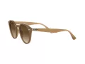 Ray-Ban Lunettes de Soleil RB 2180 6166/13