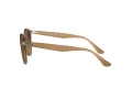 Ray-Ban Lunettes de Soleil RB 2180 6166/13