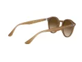 Ray-Ban Lunettes de Soleil RB 2180 6166/13