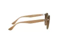 Ray-Ban Lunettes de Soleil RB 2180 6166/13