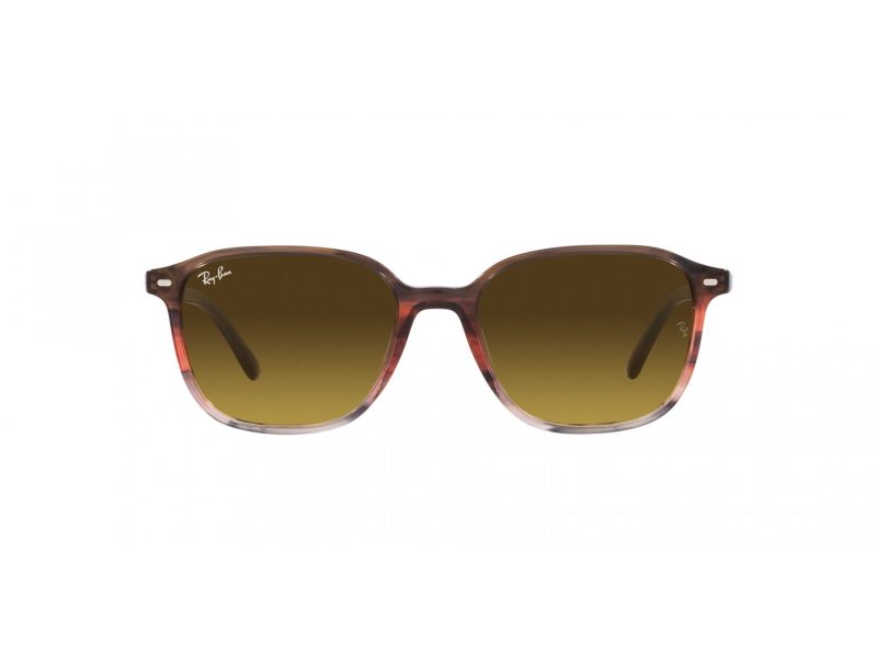 Ray-Ban Leonard Lunettes de Soleil RB 2193 138085
