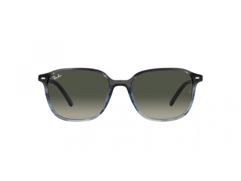Ray-Ban Leonard Lunettes de Soleil RB 2193 138171