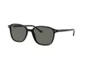 Ray-Ban Leonard Lunettes de Soleil RB 2193 901/58