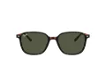 Ray-Ban Leonard Lunettes de Soleil RB 2193 902/31