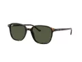 Ray-Ban Leonard Lunettes de Soleil RB 2193 902/31