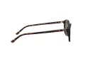 Ray-Ban Leonard Lunettes de Soleil RB 2193 902/31