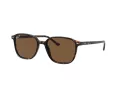 Ray-Ban Leonard Lunettes de Soleil RB 2193 902/57