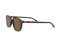 Ray-Ban Leonard Lunettes de Soleil RB 2193 902/57