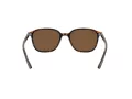 Ray-Ban Leonard Lunettes de Soleil RB 2193 902/57