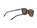 Ray-Ban Leonard Lunettes de Soleil RB 2193 902/57