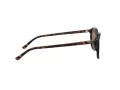 Ray-Ban Leonard Lunettes de Soleil RB 2193 902/57