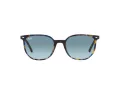 Ray-Ban Elliot Lunettes de Soleil RB 2197 13563M