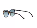 Ray-Ban Elliot Lunettes de Soleil RB 2197 13563M