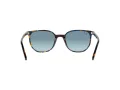 Ray-Ban Elliot Lunettes de Soleil RB 2197 13563M