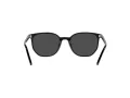 Ray-Ban Elliot Lunettes de Soleil RB 2197 901/48