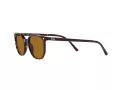 Ray-Ban Elliot Lunettes de Soleil RB 2197 902/33