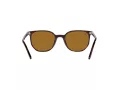 Ray-Ban Elliot Lunettes de Soleil RB 2197 902/33
