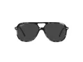 Ray-Ban Bill Lunettes de Soleil RB 2198 133348