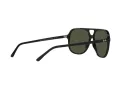 Ray-Ban Bill Lunettes de Soleil RB 2198 901/31