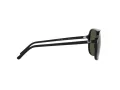 Ray-Ban Bill Lunettes de Soleil RB 2198 901/31