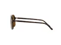 Ray-Ban Bill Lunettes de Soleil RB 2198 902/57