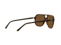 Ray-Ban Bill Lunettes de Soleil RB 2198 902/57