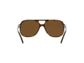 Ray-Ban Bill Lunettes de Soleil RB 2198 902/57