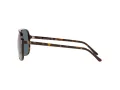 Ray-Ban Bill Lunettes de Soleil RB 2198 902/R5