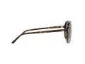 Ray-Ban Bill Lunettes de Soleil RB 2198 902/R5