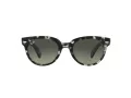 Ray-Ban Orion Lunettes de Soleil RB 2199 1333/71