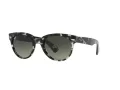 Ray-Ban Orion Lunettes de Soleil RB 2199 1333/71