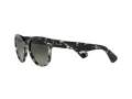 Ray-Ban Orion Lunettes de Soleil RB 2199 1333/71