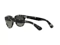 Ray-Ban Orion Lunettes de Soleil RB 2199 1333/71