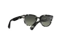 Ray-Ban Orion Lunettes de Soleil RB 2199 1333/71