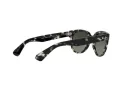 Ray-Ban Orion Lunettes de Soleil RB 2199 1333/71