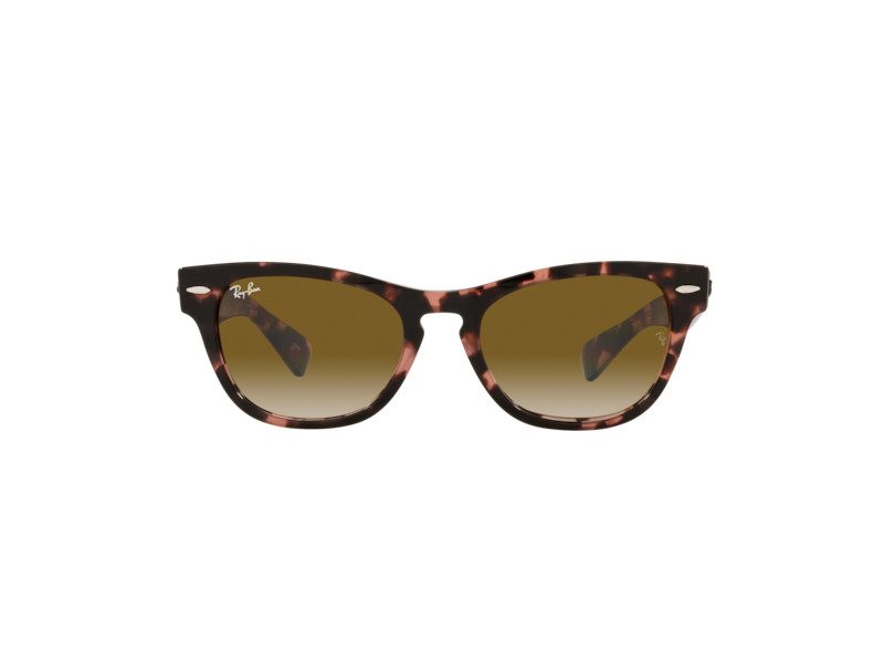 Ray-Ban Laramie Lunettes de Soleil RB 2201 1334/51